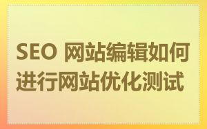 SEO 网站编辑如何进行网站优化测试