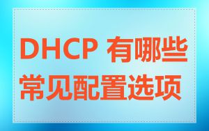 DHCP 有哪些常见配置选项