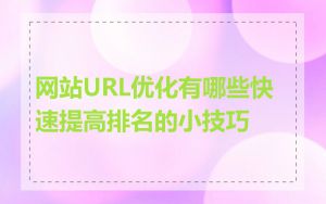 网站URL优化有哪些快速提高排名的小技巧