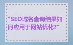 "SEO域名查询结果如何应用于网站优化?"