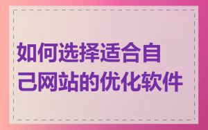 如何选择适合自己网站的优化软件
