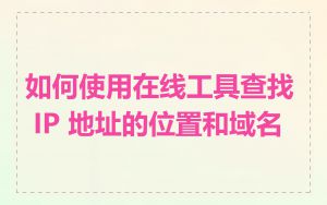 如何使用在线工具查找 IP 地址的位置和域名