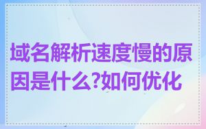 域名解析速度慢的原因是什么?如何优化