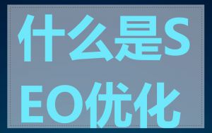 什么是SEO优化