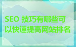 SEO 技巧有哪些可以快速提高网站排名