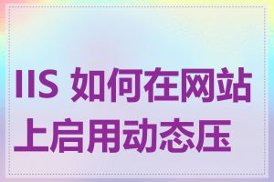 IIS 如何在网站上启用动态压缩