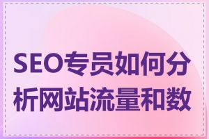 SEO专员如何分析网站流量和数据