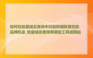 如何在批量域名查询中识别和捕获潜在的品牌机会_批量域名查询有哪些工具或网站
