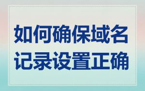 如何确保域名记录设置正确