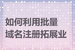 如何利用批量域名注册拓展业务