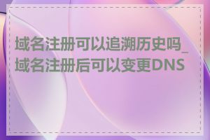 域名注册可以追溯历史吗_域名注册后可以变更DNS吗