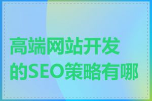 高端网站开发的SEO策略有哪些