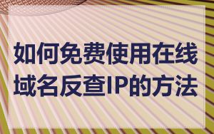 如何免费使用在线域名反查IP的方法