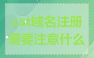 .cat域名注册需要注意什么