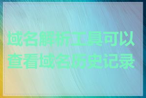 域名解析工具可以查看域名历史记录吗