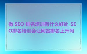 做 SEO 排名培训有什么好处_SEO排名培训会让网站排名上升吗