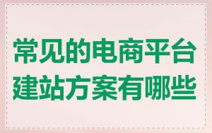 常见的电商平台建站方案有哪些