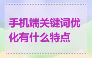 手机端关键词优化有什么特点