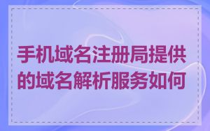 手机域名注册局提供的域名解析服务如何