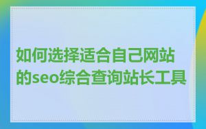 如何选择适合自己网站的seo综合查询站长工具