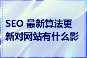 SEO 最新算法更新对网站有什么影响
