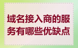 域名接入商的服务有哪些优缺点