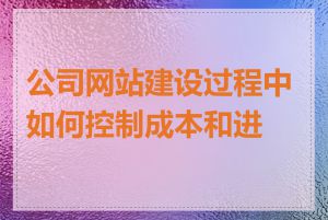 公司网站建设过程中如何控制成本和进度