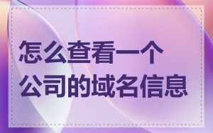 怎么查看一个公司的域名信息