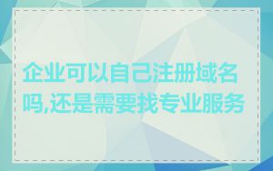 企业可以自己注册域名吗,还是需要找专业服务
