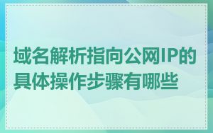 域名解析指向公网IP的具体操作步骤有哪些