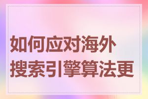 如何应对海外搜索引擎算法更新
