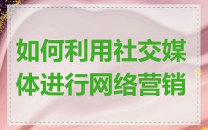如何利用社交媒体进行网络营销