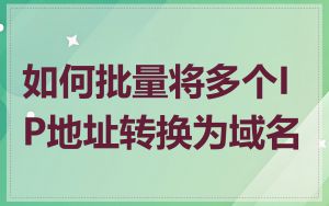 如何批量将多个IP地址转换为域名