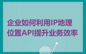 企业如何利用IP地理位置API提升业务效率