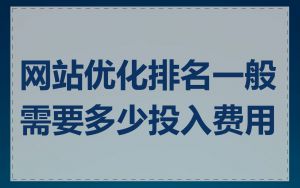 网站优化排名一般需要多少投入费用