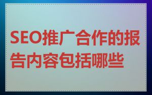 SEO推广合作的报告内容包括哪些