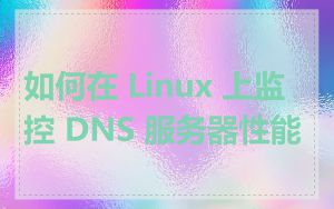 如何在 Linux 上监控 DNS 服务器性能