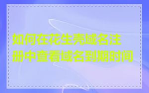 如何在花生壳域名注册中查看域名到期时间