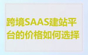 跨境SAAS建站平台的价格如何选择