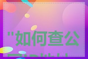 "如何查公网IP地址"