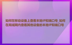如何在移动设备上查看本地IP和端口号_如何在局域网内查看其他设备的本地IP和端口号