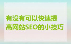 有没有可以快速提高网站SEO的小技巧