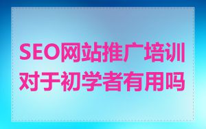 SEO网站推广培训对于初学者有用吗