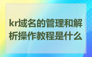 kr域名的管理和解析操作教程是什么