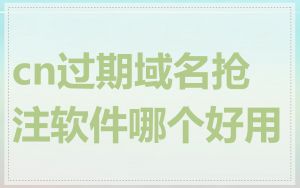 cn过期域名抢注软件哪个好用