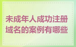 未成年人成功注册域名的案例有哪些