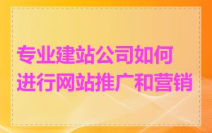 专业建站公司如何进行网站推广和营销