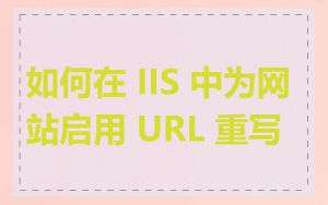 如何在 IIS 中为网站启用 URL 重写