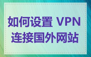 如何设置 VPN 连接国外网站
