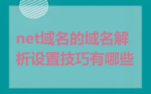 net域名的域名解析设置技巧有哪些